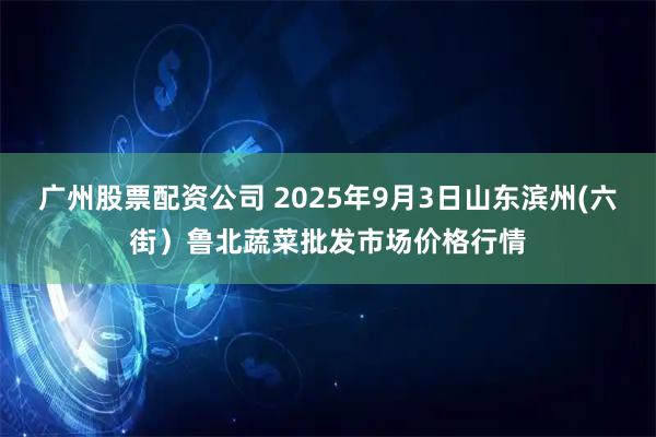 广州股票配资公司 2025年9月3日山东滨州(六街）鲁北蔬菜批发市场价格行情