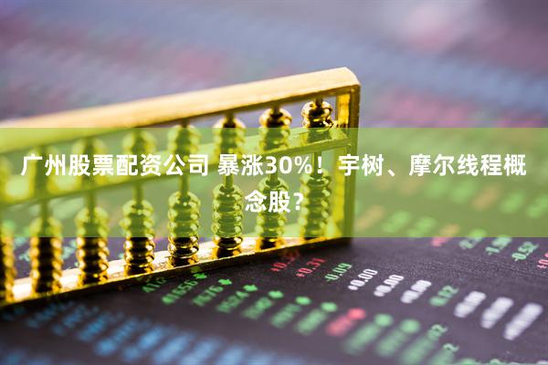 广州股票配资公司 暴涨30%！宇树、摩尔线程概念股？