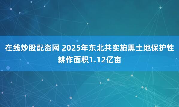 在线炒股配资网 2025年东北共实施黑土地保护性耕作面积1.12亿亩